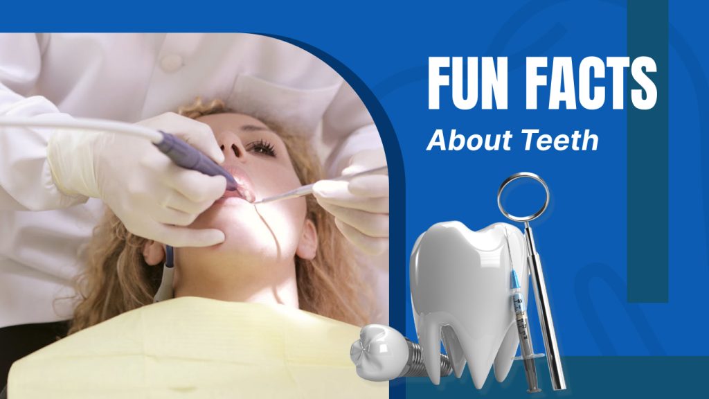 Fun Fact About Teeth